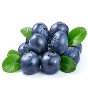 bilberry-extract-25--500x500